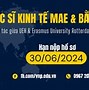 Chương Trình Thạc Sĩ Nước Ngoài Tại Việt Nam Năm 2024 Là Ai Sao