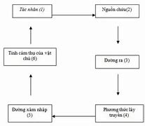 Hậu Quả Nhiễm Khuẩn Bệnh Viện