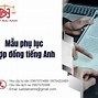 Hợp Đồng Phái Cử Tiếng Anh Là Gì