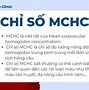 Mchc Là Gì