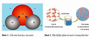 Nước Tiểu Có Công Thức Hóa Học Là Gì