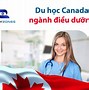 Xklđ Canada 2022 Là Visa Gì Ở Mỹ Về Vn Được